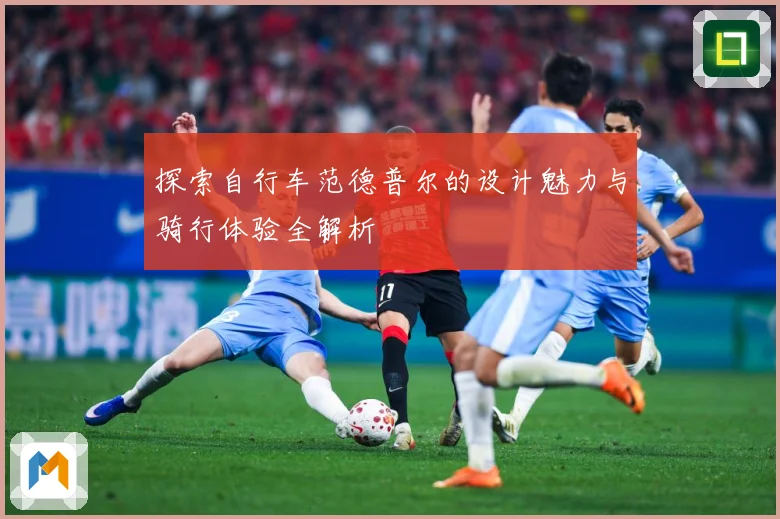 探索自行车范德普尔的设计魅力与骑行体验全解析